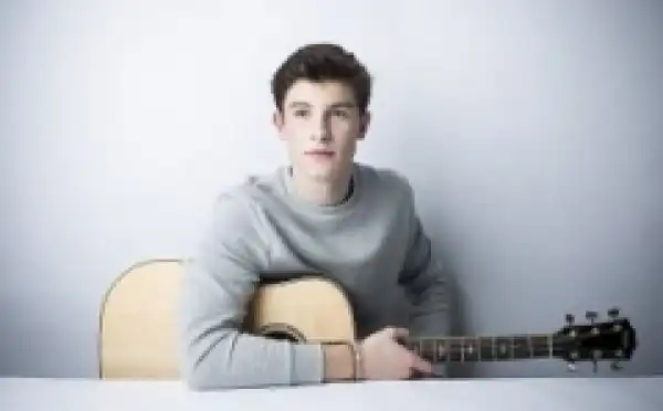 Instrumental: Shawn Mendes - Air